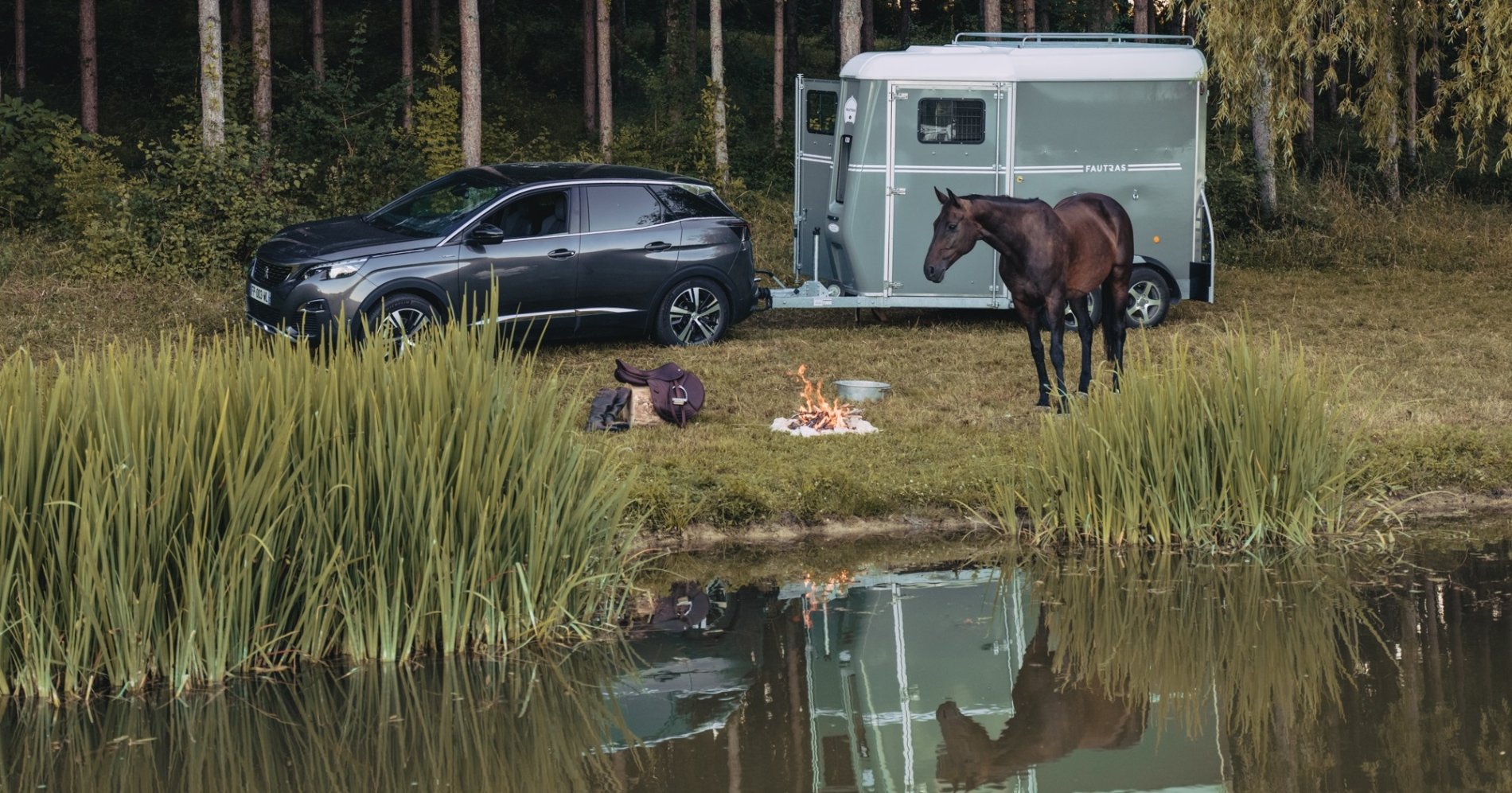 Een Fautras paardentrailer is ideaal voor het kamperen met jouw paard.